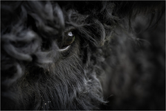 2. Britta Rudeck Oktober