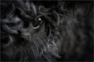 2. Platz Britta Rudeck