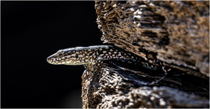 3. Torsten Kamcke Oktobber